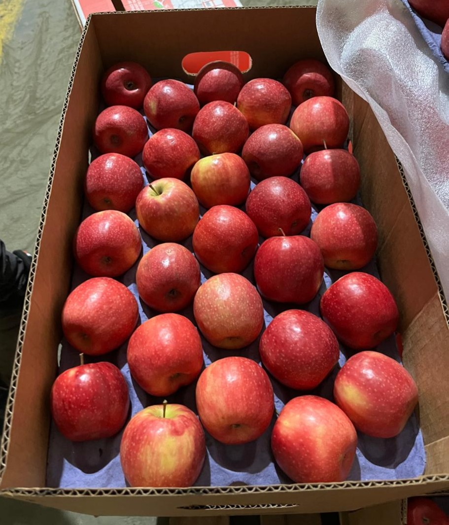 Manzana Fuji